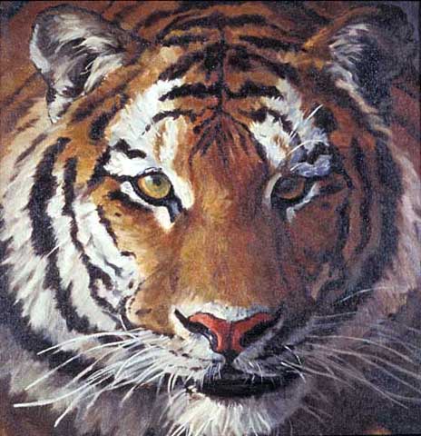 tigerface