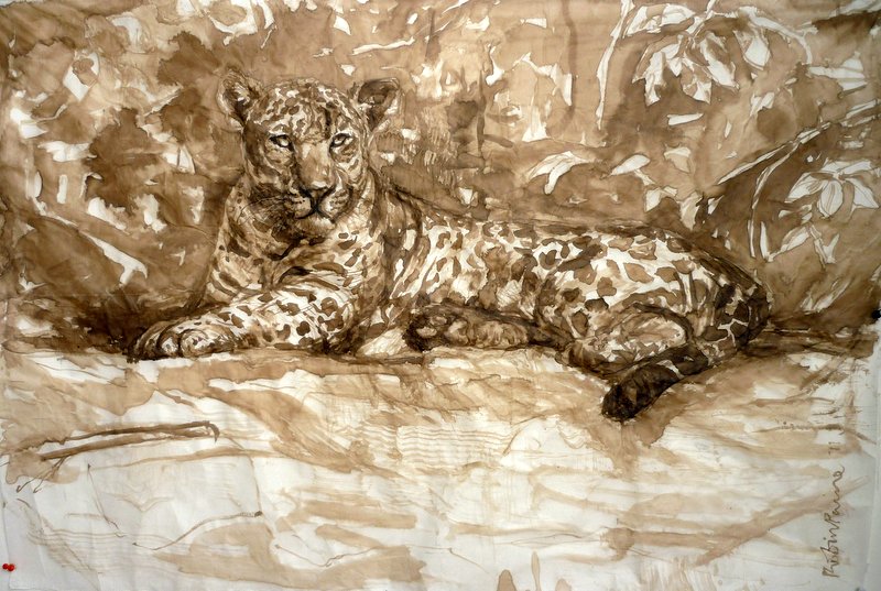 Jaguar of the Pantanal